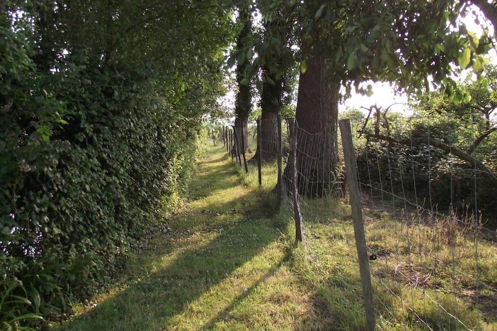 Au Pied Du Frene Villa Herzeele Kültér fotó