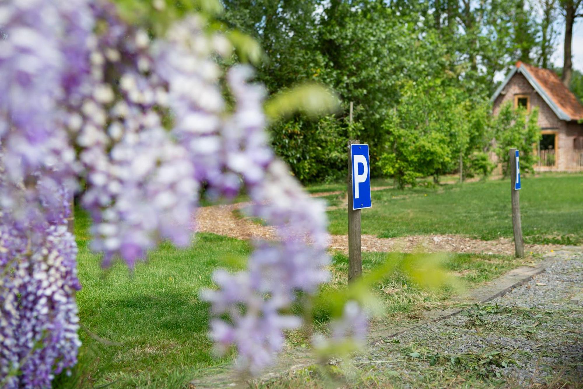 Au Pied Du Frene Villa Herzeele Kültér fotó